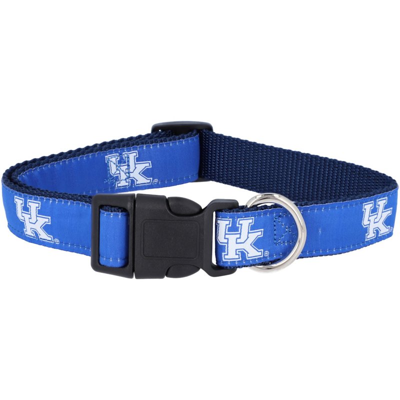 Kentucky Wildcats 1… - image